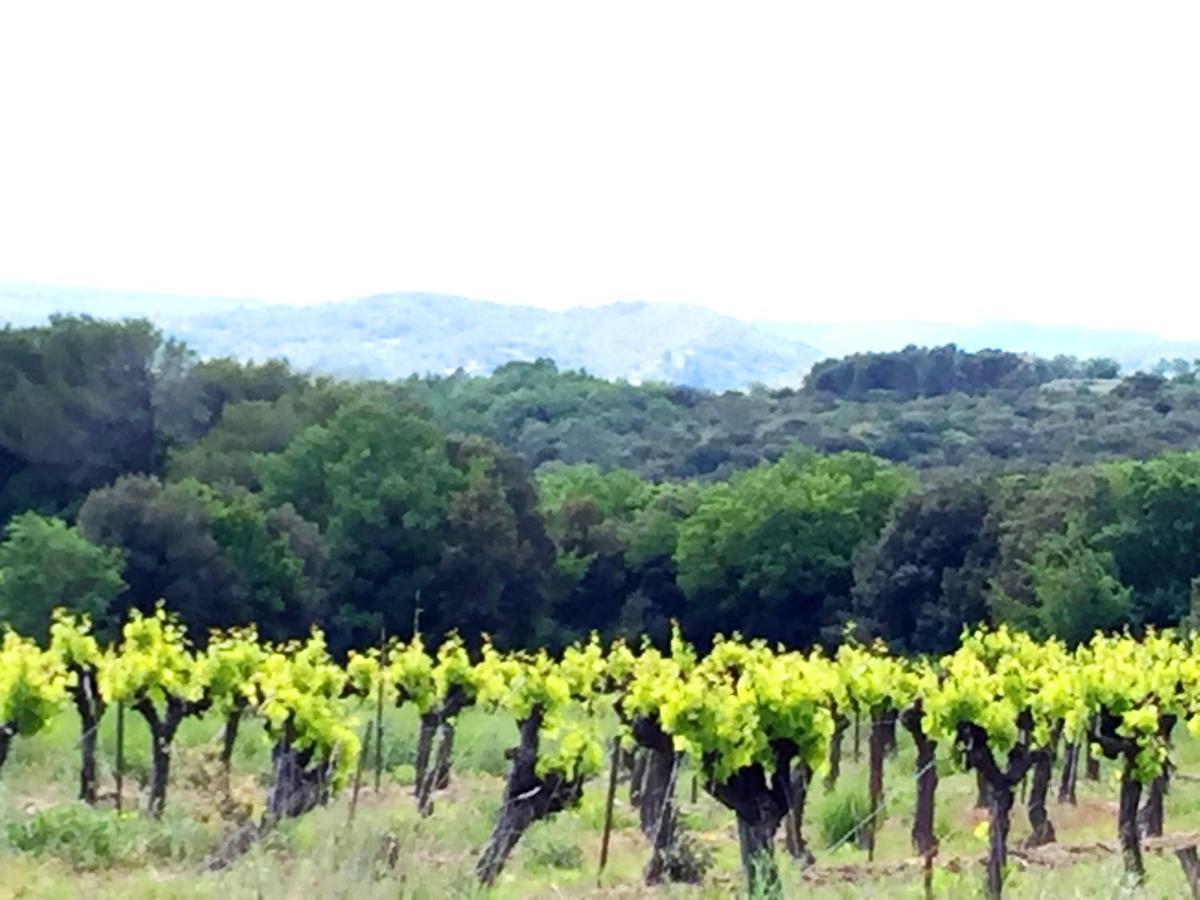 Le Clos Soleilhan Saint-Gervais  المظهر الخارجي الصورة